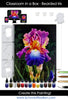 Classroom in a Box - Bearded Iris