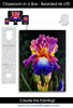 Classroom in a Box - Bearded Iris