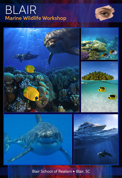 Dru Blair: Airbrush - Wildlife Marine Animals</b><p>Held in January 2016</p>