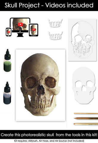 Classroom in a Box: Skull kit