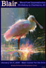 Dru Blair - Waterfowl Workshop in Charleston - Jan 2027