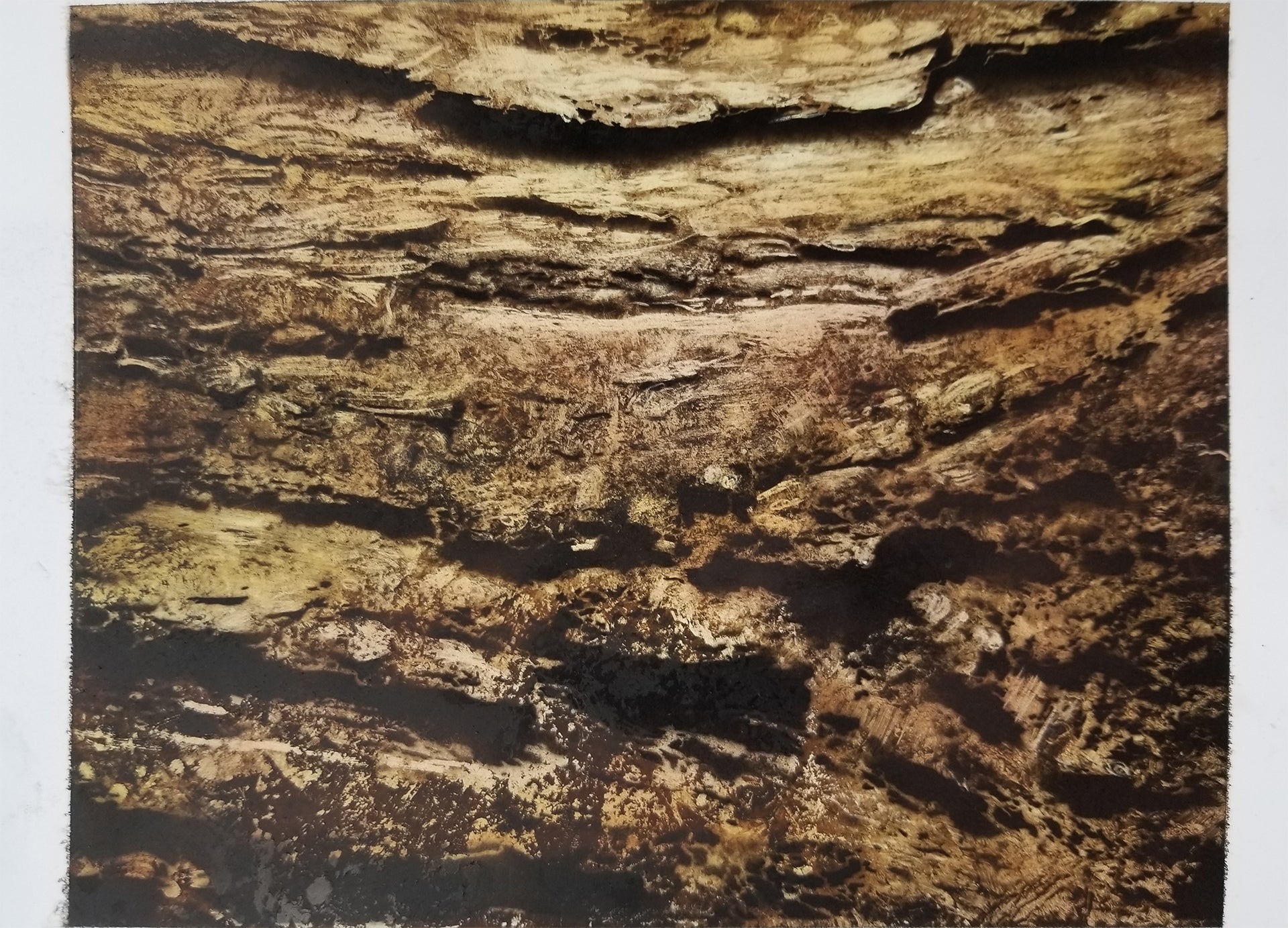 Blair Stencil - Bark | Blair School of Art blair-stencil-bark-blair-school-of-art