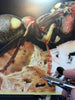 Marcus Eisenhuth: Airbrush - Extreme Macro</b><p>Held in July 2016</p>