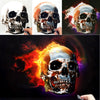 Dru Blair: Airbrush - Chrome Skull with Fire </b><p>Coming in 2018</p>