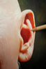 Scratchable Airbrush Paper - Sold by the sheet