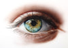 Classroom in a Box:  The Sunlit Eye (Lite Version)
