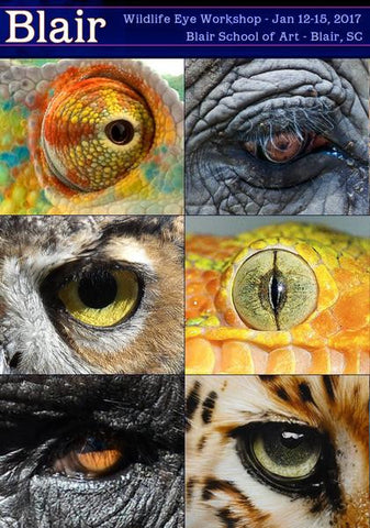 Dru Blair: Airbrush - Eyes of the Wild </b><p>January 12-15, 2017</p><p></b>(6 Seats Remaining) </p>