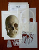 Classroom in a Box: Skull project - (no paint or tools)