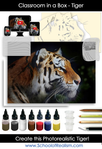 Classroom in a Box: Tiger kit