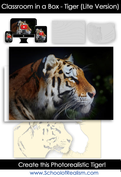 Classroom in a Box: Tiger kit LIte Version (No paint or tools)