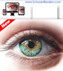 Classroom in a Box:  The Sunlit Eye (Lite Version)