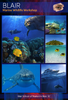 Dru Blair: Airbrush - Wildlife Marine Animals</b><p>Held in January 2016</p>