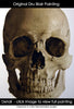 Classroom in a Box (study/class demo): Skull