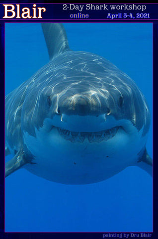 Dru Blair: Airbrush -2 Day Virtual Shark workshop</b><p>April-3-4, 2021</p>