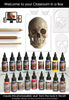 Classroom in a Box: Skull kit - (Extra paint colors!)