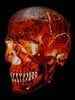 Classroom in a Box: Lava Skull Lite Version