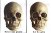 Classroom in a Box: Skull project - (no paint or tools)