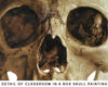 Classroom in a Box: Skull project - (no paint or tools)