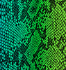 Blair Stencil - Organic Snakeskin