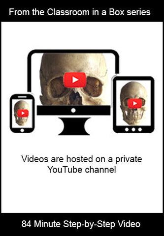 Classroom in a Box: Video - Skull